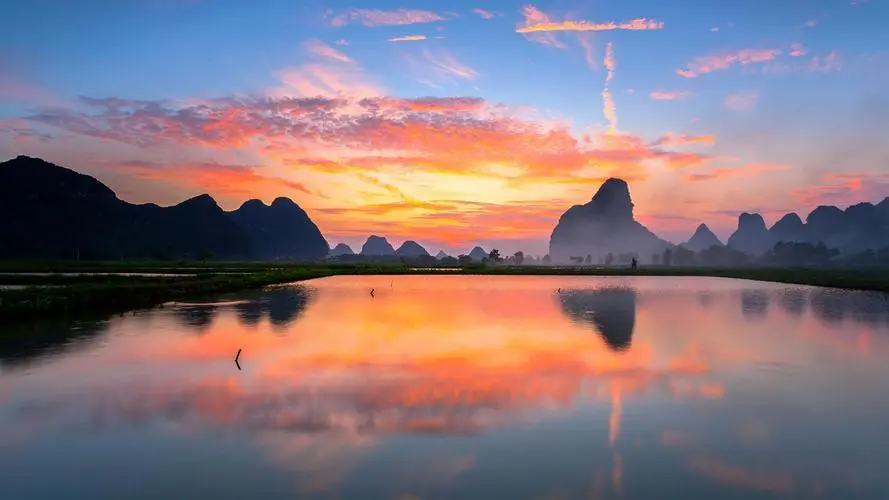 独特独特网络化